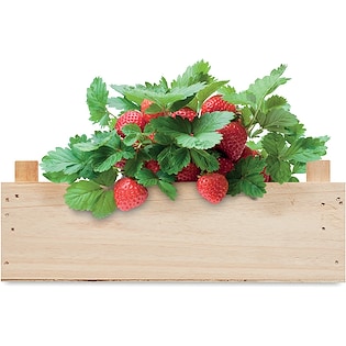 Frøpose Strawberry