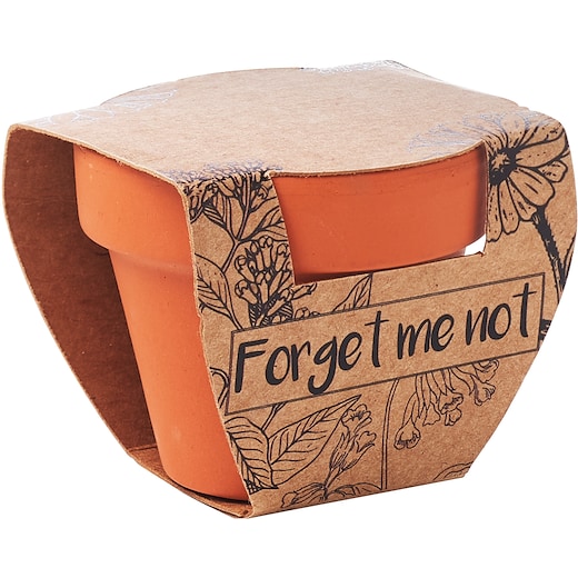 Kasvi Forget Me Not -