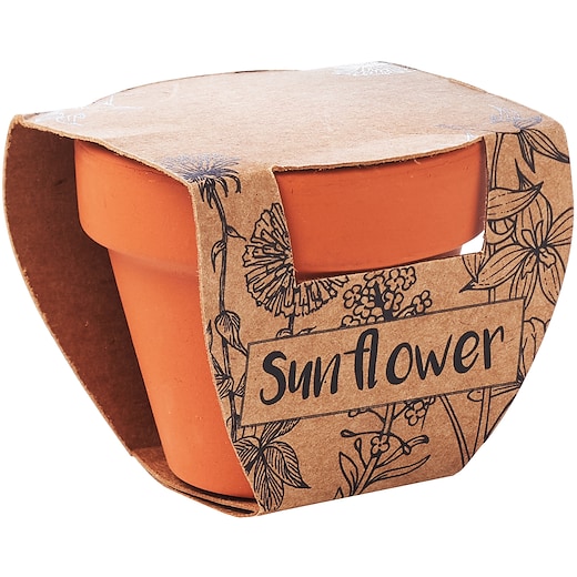 Kasvi Sunflower -