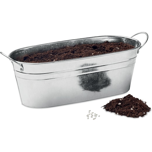 Kasvi Hierba -