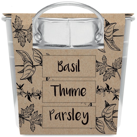 Kasvi Hierba -