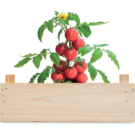 braun Pflanze Tomato  - wood