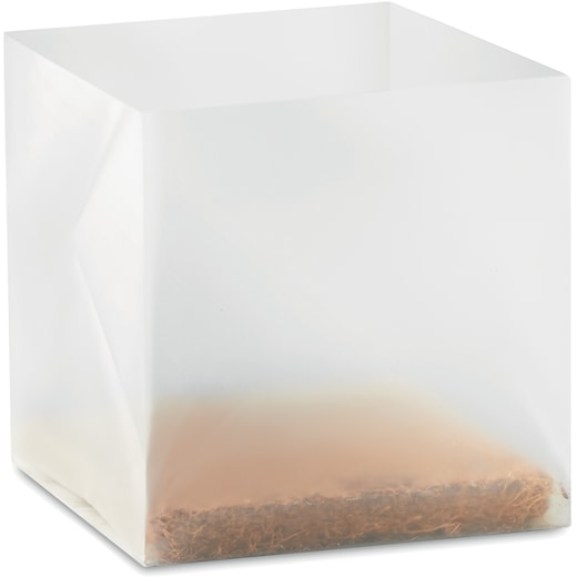Kasvi Penbrook -
