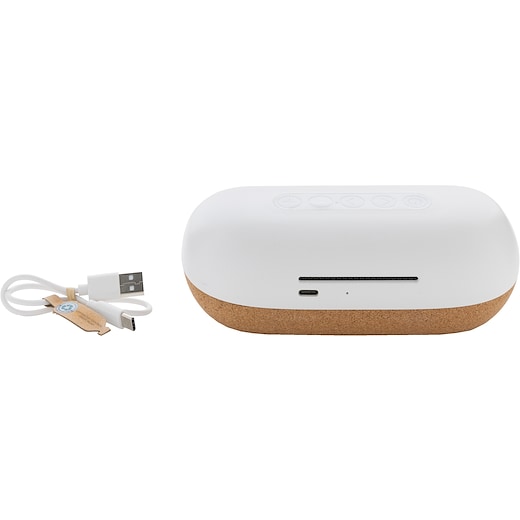 Kaiutin Danby 10W -