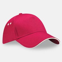 Lippikset